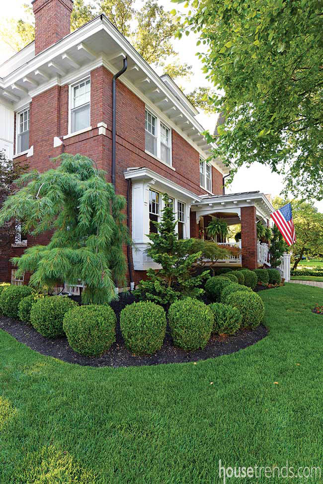 Back yard designed to draw a crowd