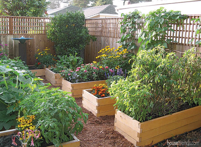 Raised gardens raise the standards