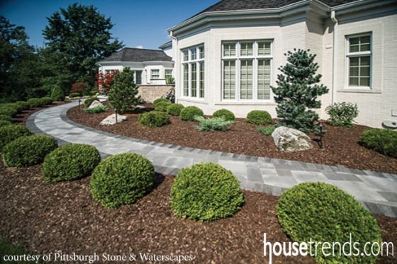 Landscape Design With Low Maintenance Plants